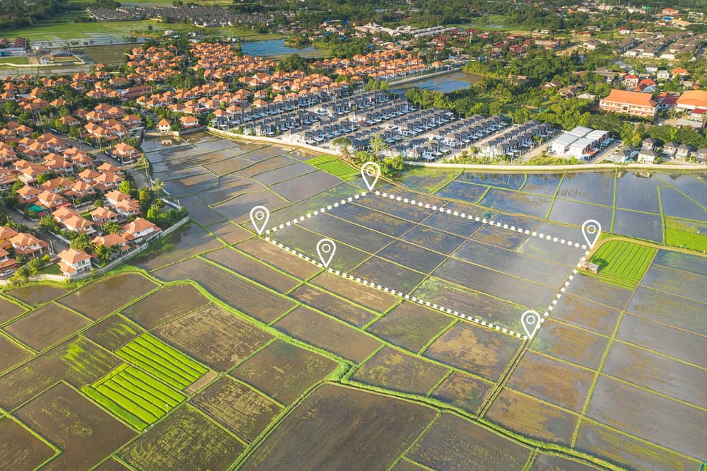 Aerial view of a residential area adjacent to expansive green rice fields, where Land Surveyors Martin County have marked sections with digital map indicators, highlighting potential points of interest or development.